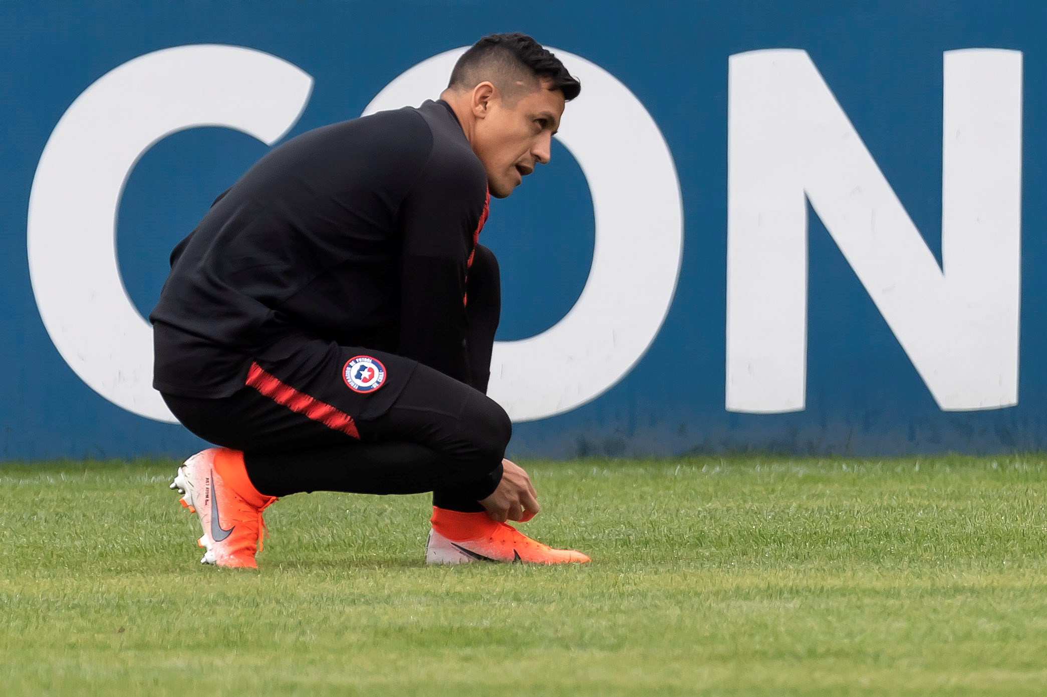 美洲杯队主教练发声，誓言带队登顶的简单介绍