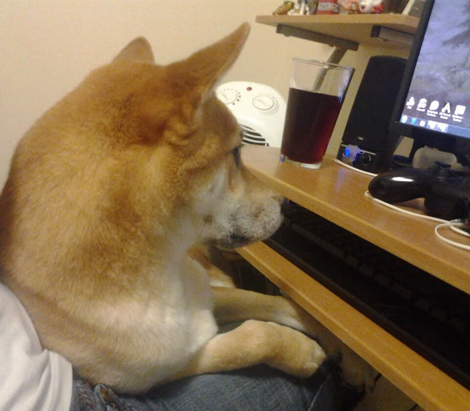 前所未见,从美网心碎到年终加冕,兹维列夫完成历史性逆转