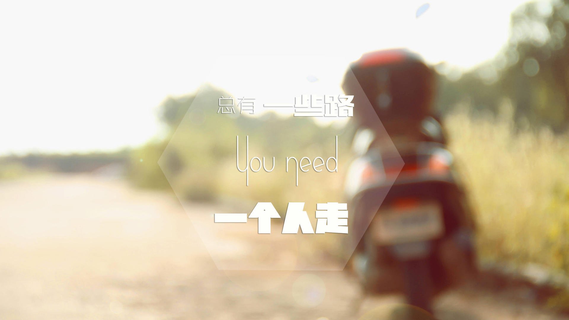 绝对主宰与惊天逆转,诺里斯完美统治下,红牛二队的策略奇迹