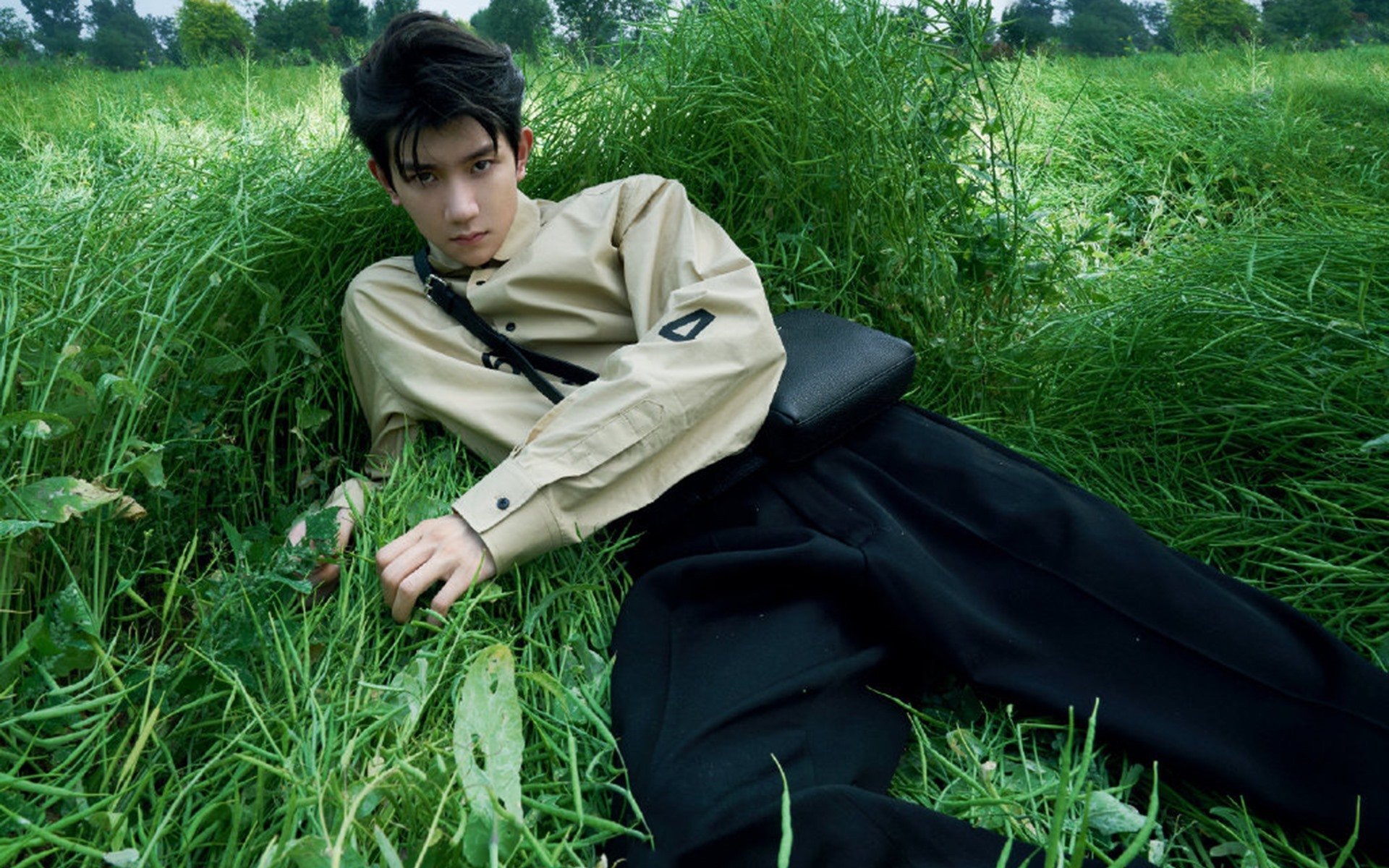 双城记,浙江的封喉箭与新疆的叹息