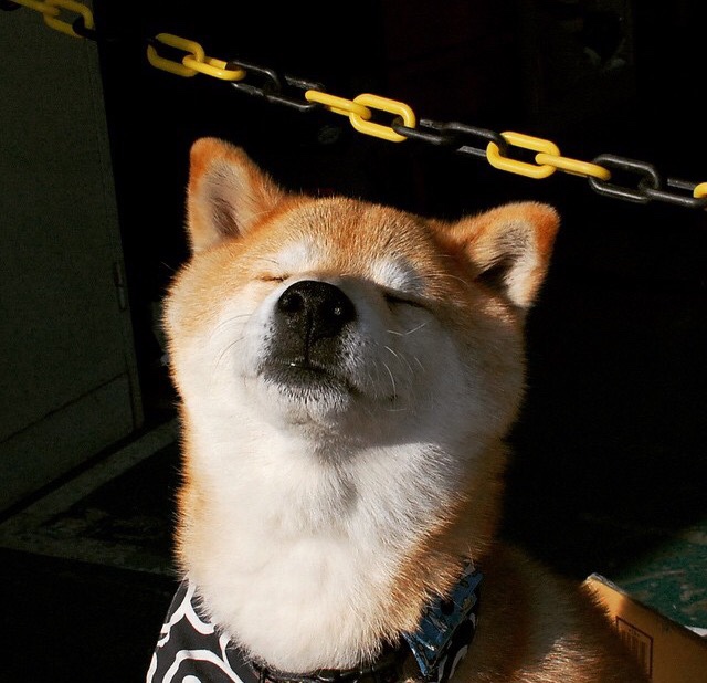 欧冠奇景，莱比锡红牛末节发力，南美劲旅厄瓜多尔竟成焦点？