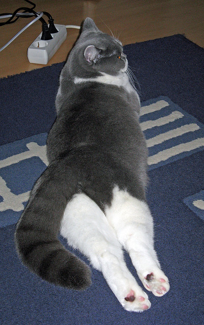 卡塞米罗终场绝杀!喀麦隆力克挪威保留晋级希望