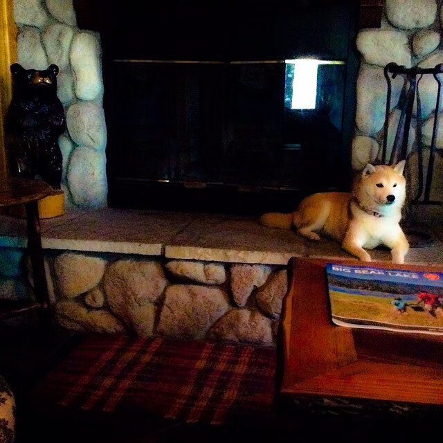 莱比锡红牛战术引擎轰鸣，阿尔瓦雷斯攻防枢纽导演胜利洪流