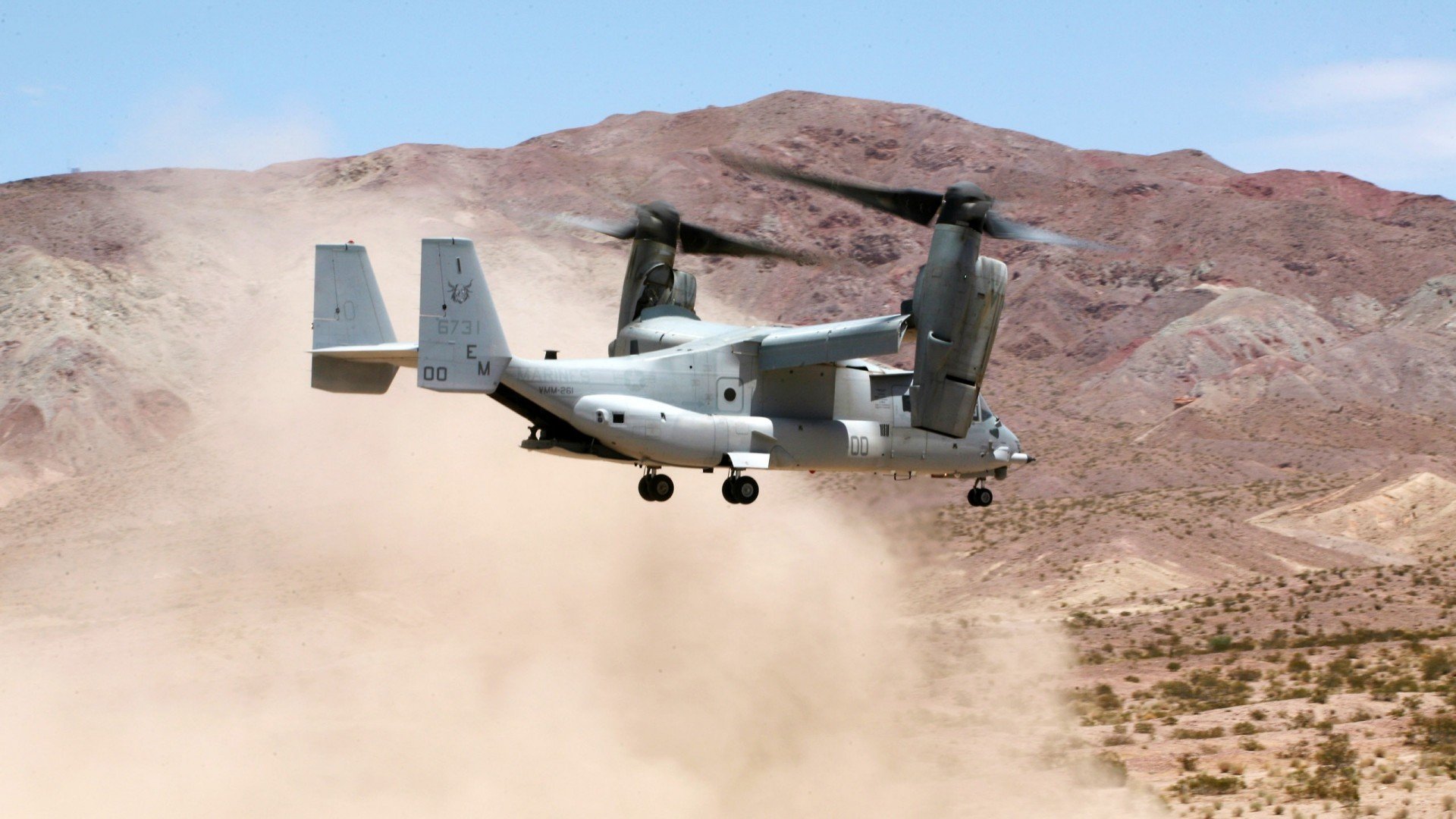 黑星破晓，加纳以钢铁意志击碎德国战车，历史性闯入世界杯四强