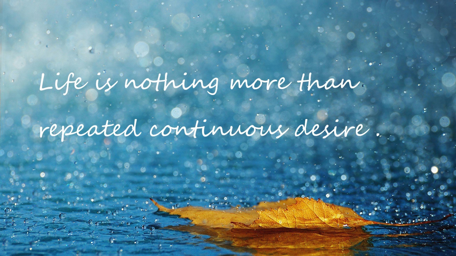 唯一性的双重奏，阿圭罗数据统治与韩国终结荷兰的传奇