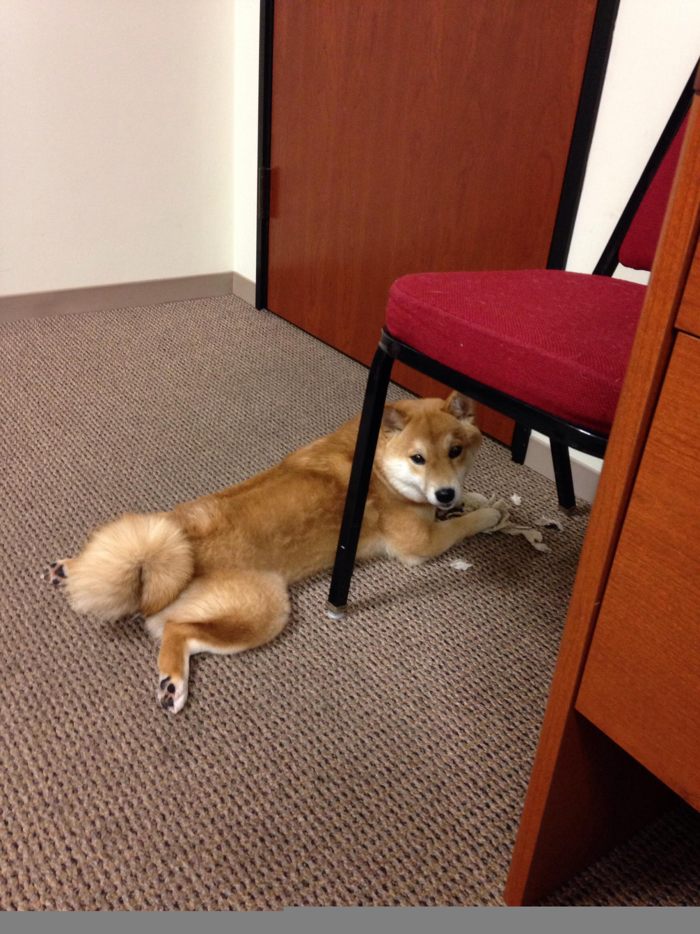 降临，当杜兰特的三分球让休斯敦的火焰提前熄灭