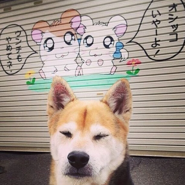 跨联赛巅峰对决，勇士粉碎广东，莫兰特关键先生定乾坤