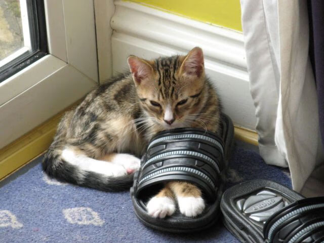 永恒瞬间，帕尔默一锤定音，巴黎决胜局带走马赛