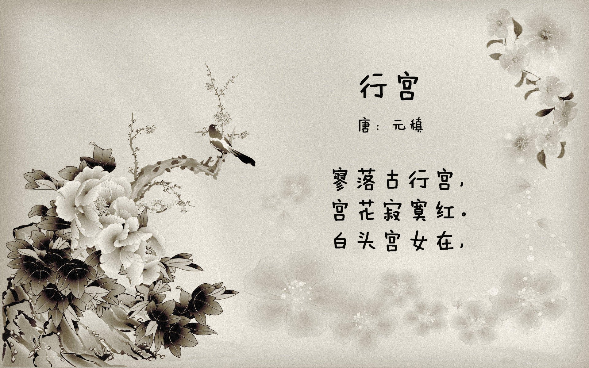 唯一之夜,2026世界杯揭幕战,内马尔致命一击掀翻尼日利亚,伊朗冷雨夜写下不朽传奇