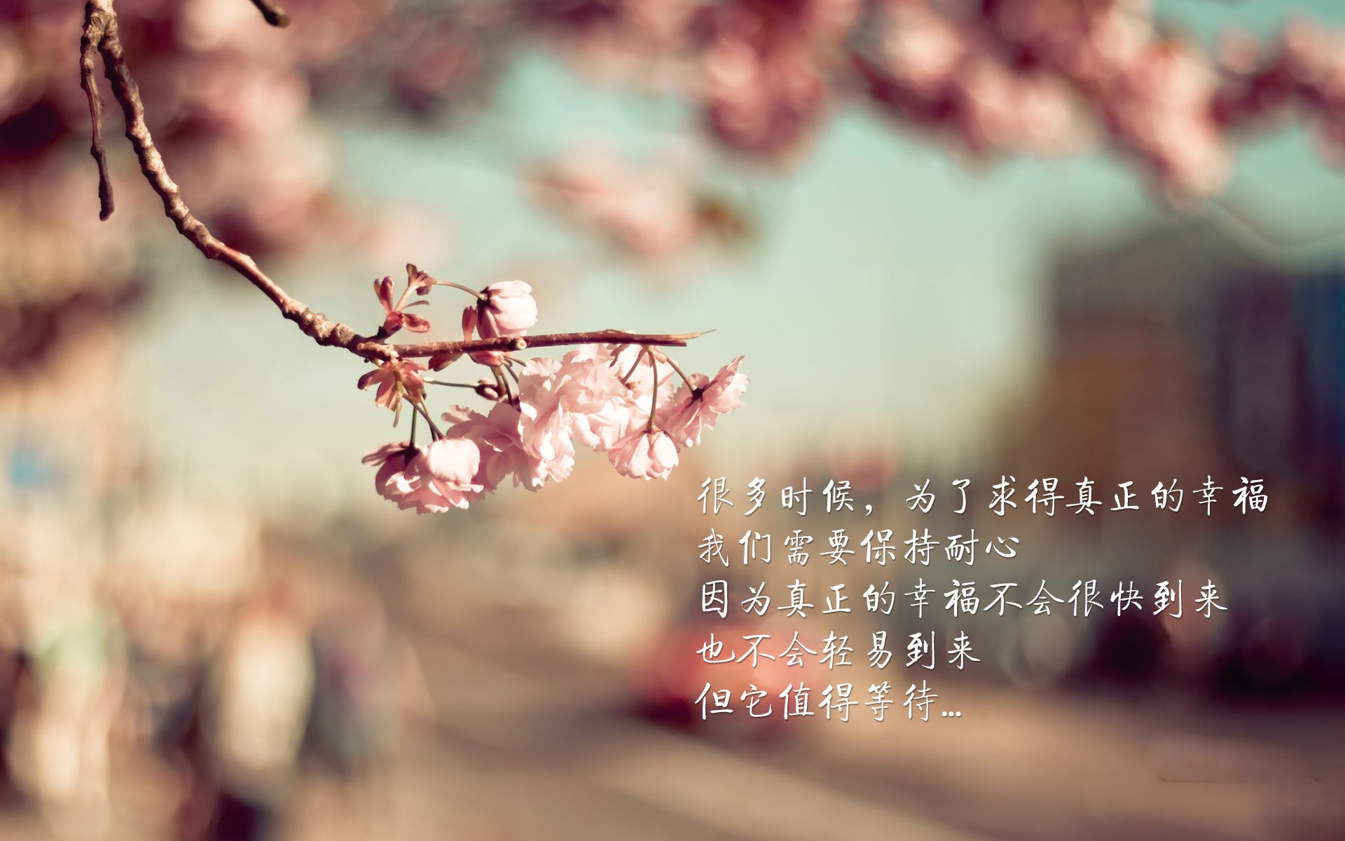 天意回响，2026世界杯，莱万独舞改写历史，印度逆转巴西书写绿茵新神话